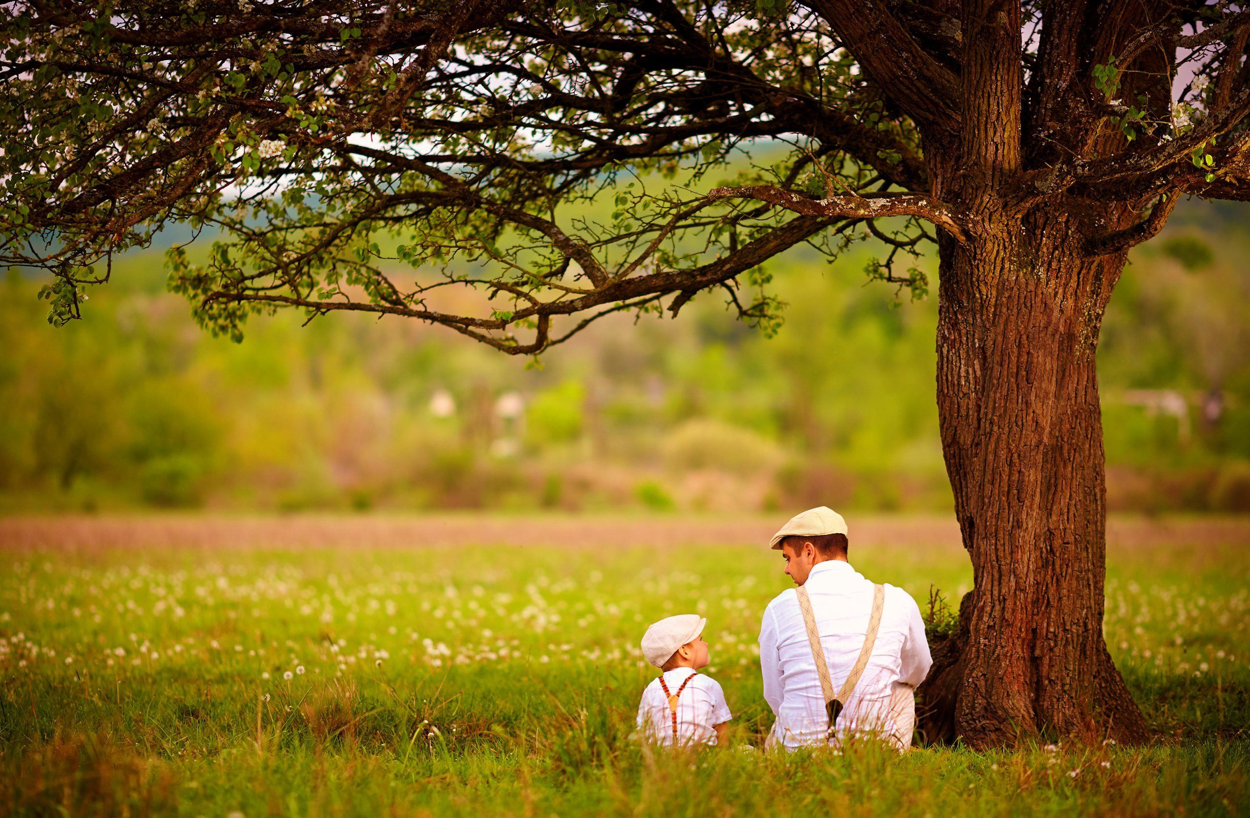 father and son sitting under the tree on spring lawn