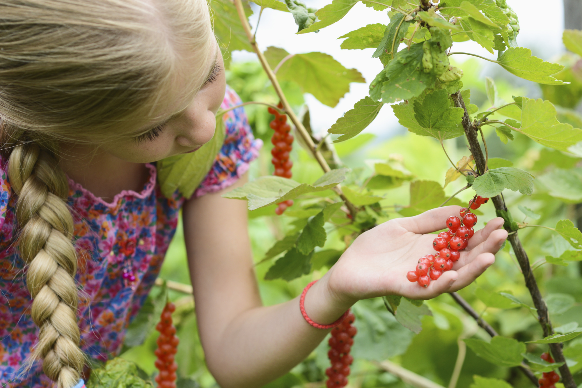 Teach them to make their own discoveries