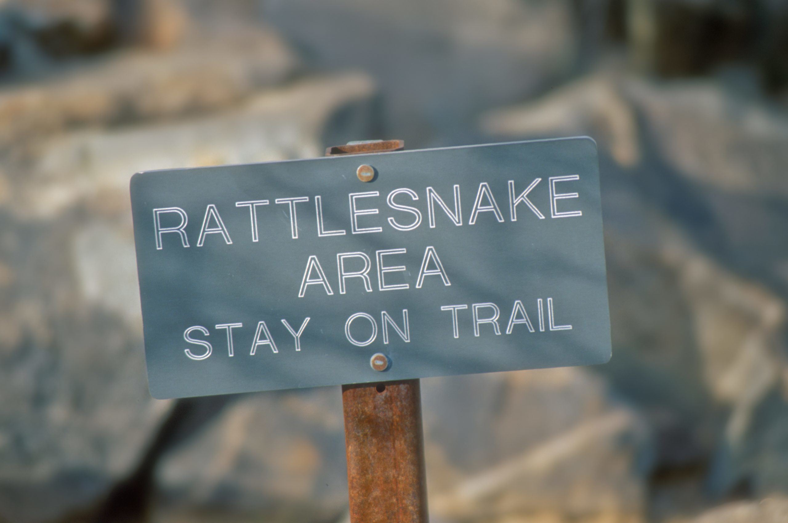 Rattlesnake Warning Sign