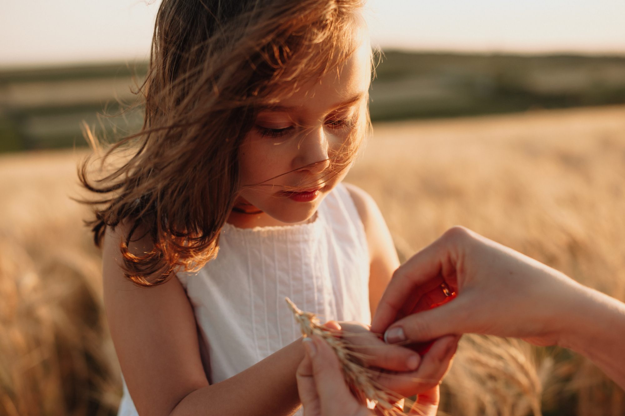 Young girl in a wheat field, parent putting seeds in her hand.