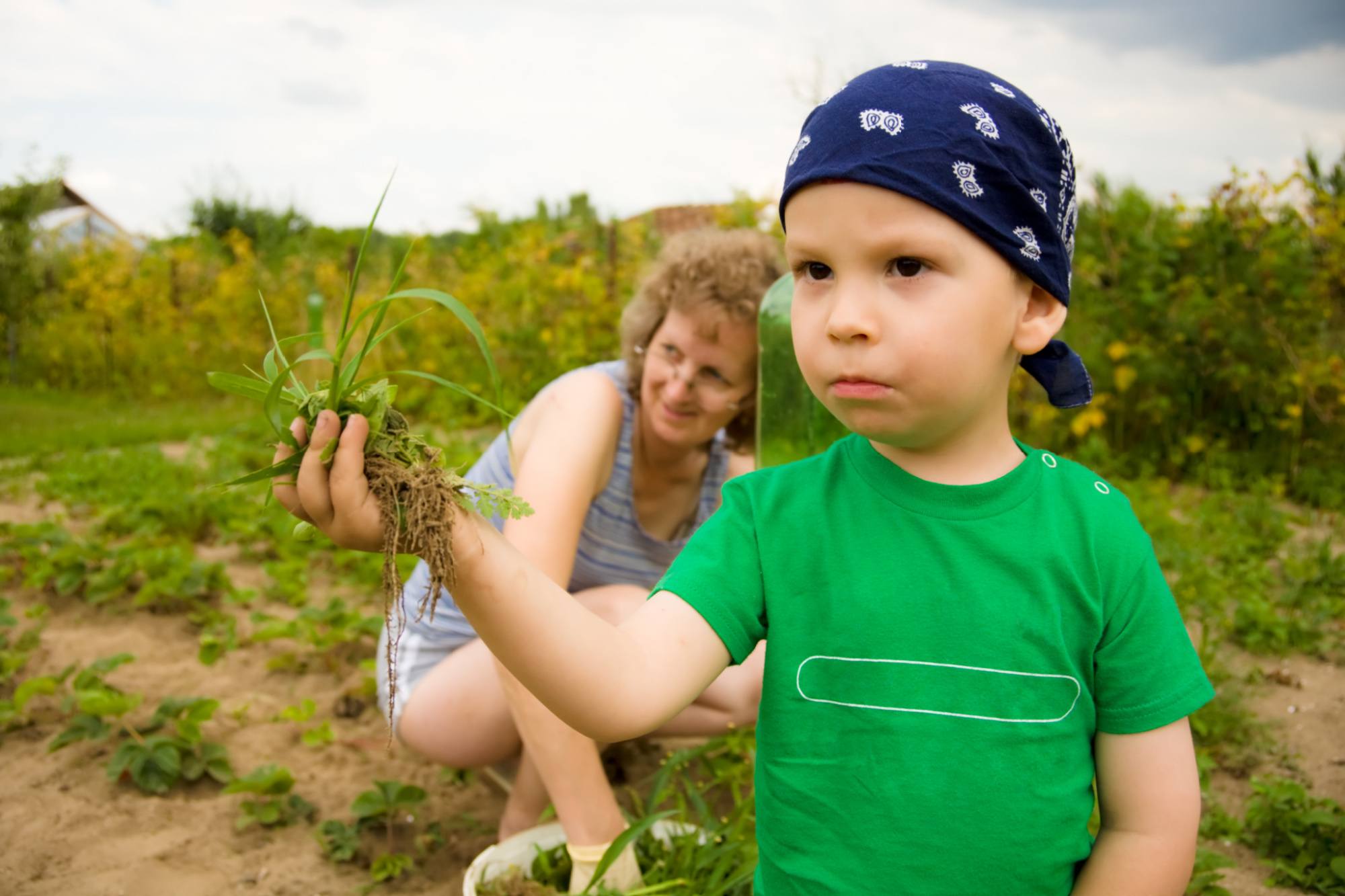 Little boy with grandmother weeding garden in hot, summer day.