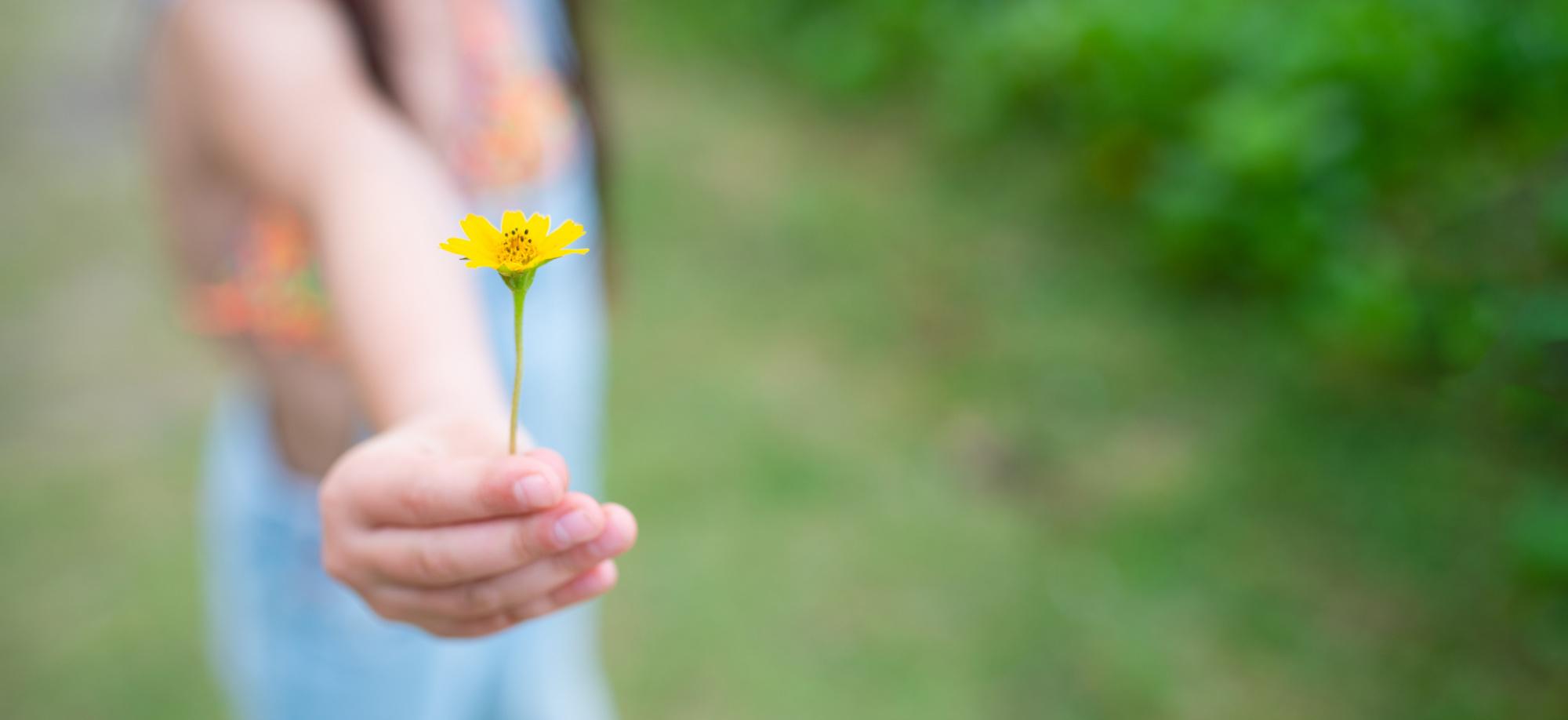 child giving a flower